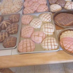 Meet your Posher, Alfredoysara